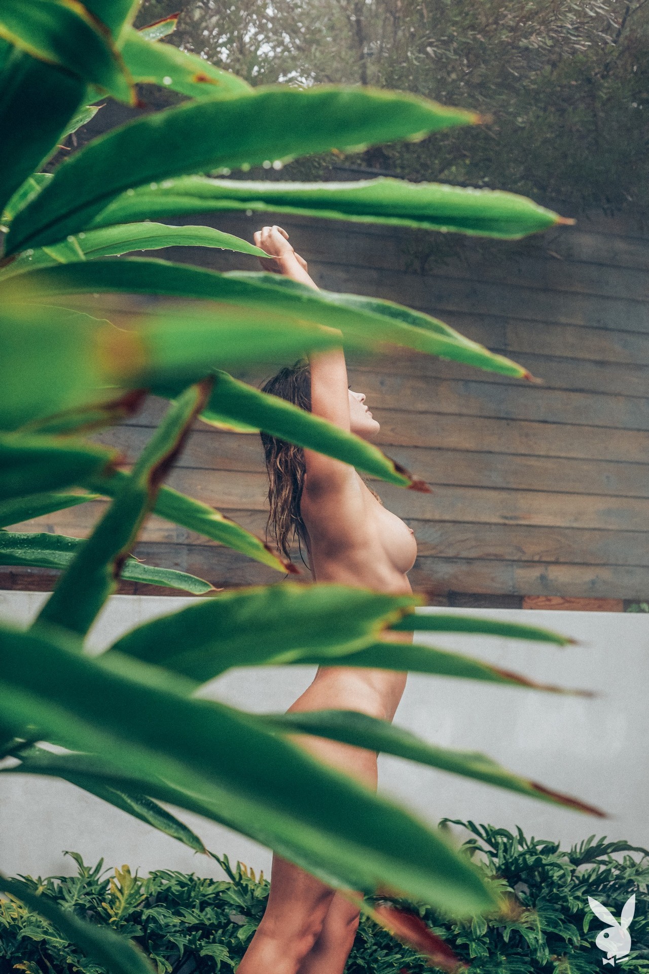 Abigail O'Neill